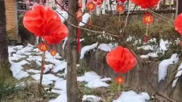 眼尖的游客意识到问题所在后，“冬季仙境”道歉