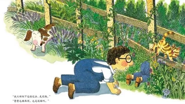 “我邻居的孩子们一直把我的花园当作游乐场，所以我进行了野蛮的报复。”