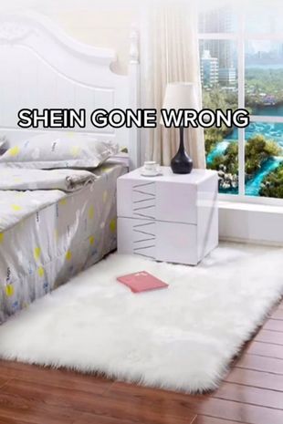 购物者从Shein订购了巨大的毛绒地毯，但当它到达时，却哑口无言