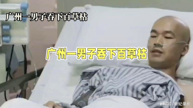 七旬老农的生死较量，五步蛇咬后割肉放血自救的奇迹