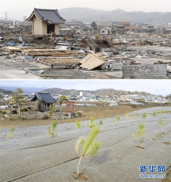 哥伦比亚发生6.6级地震，震后重建与社区韧性的挑战