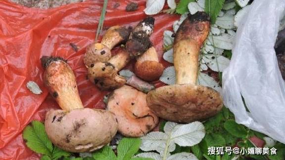 男子见手青中毒后的奇幻之旅，与凤凰共舞的捋毛奇缘