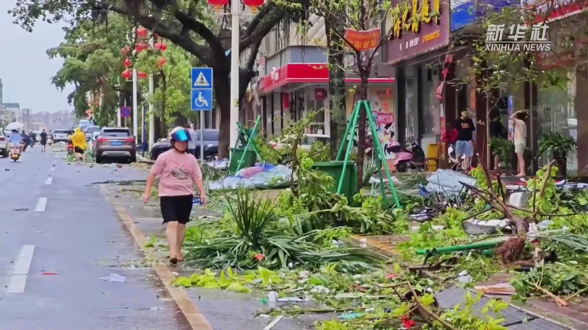 台风蝴蝶重返雷州，广东防灾再迎挑战