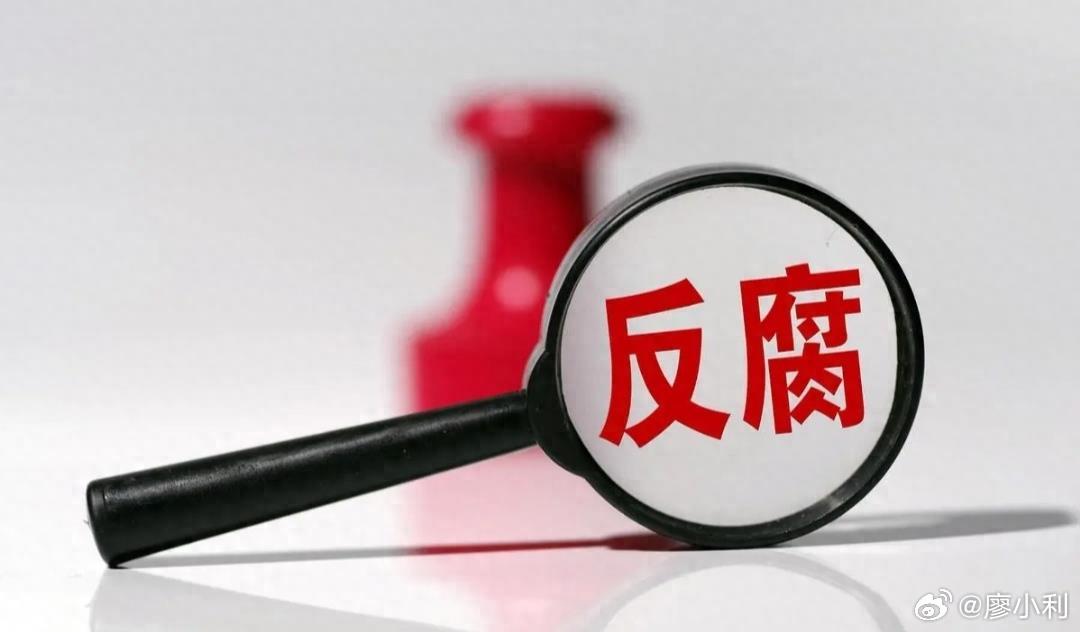 女子举报前公婆近亿资产涉贪，一年无果的困境与反思