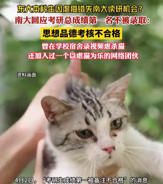 道德品行之镜，虐猫事件与上岸失败的深刻反思